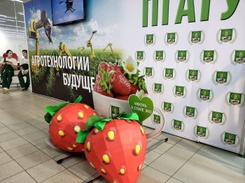 Выставка «Образование и карьера»