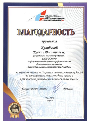 Краевой слет волонтерских бригад