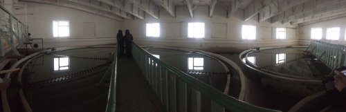 Экскурсия на Большекамский водозабор
