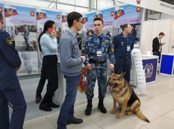 Образование и карьера - 2020