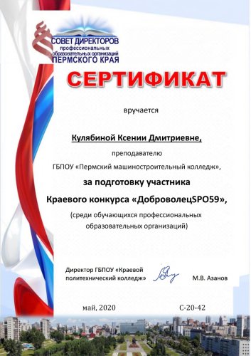 Краевой конкурс 'ДоброволецSPO59'