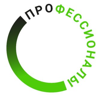 Скоро чемпионат по профмастерству «Профессионалы»