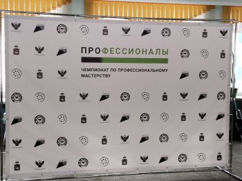 Профессионалы: К Чемпионату готовы!