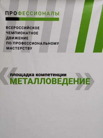 Профессионалы: К Чемпионату готовы!