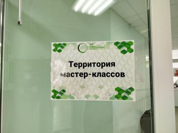 Профессионалы: К Чемпионату готовы!