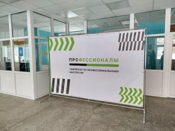 Профессионалы: К Чемпионату готовы!