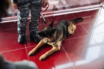 Мероприятие Движения Первых Пермского края совместно с МВД России по Пермскому краю