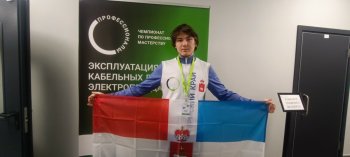 ПРОФЕССИОНАЛЫ: Эксплуатация кабельных линий электропередачи